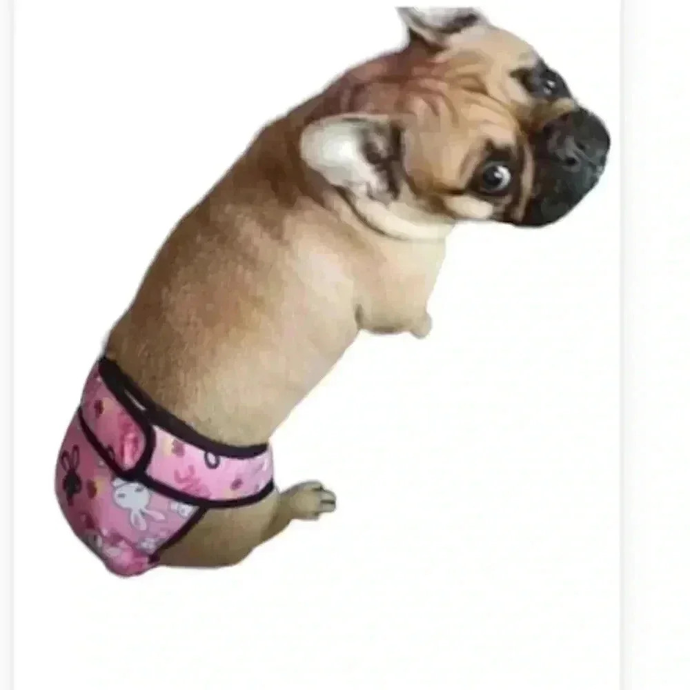Dog in heat diapers (4 quantity) New